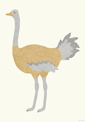 Ostrich