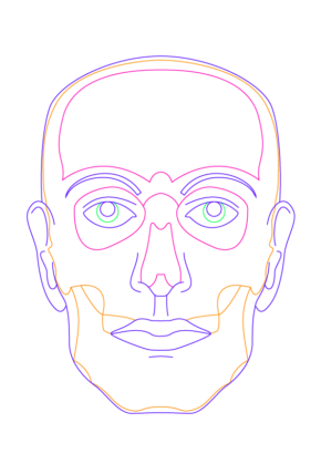 Cranium